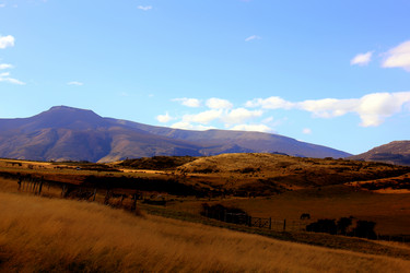 Similar image 21503019