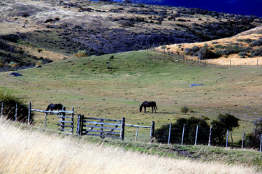 Similar image 21503427