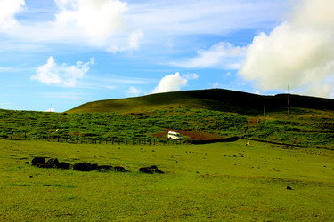 Similar image 21503433