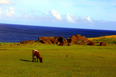 Similar image 21503435