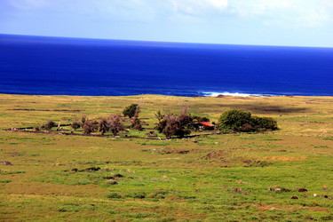 Similar image 21503447