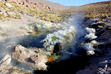 Similar image 21504243