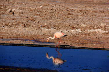 Similar image 21489936