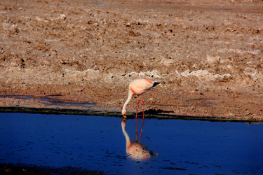 Similar image 21489938