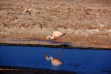 Similar image 21489940