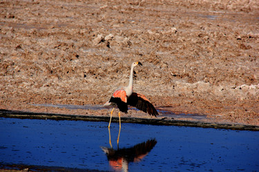 Similar image 21489943