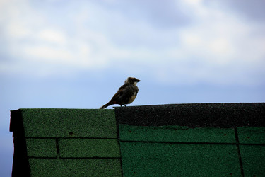 Similar image 21490303