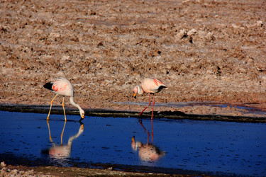 Similar image 21491599