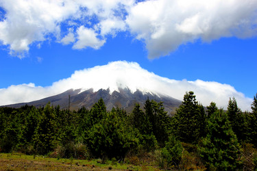 Similar image 21503030