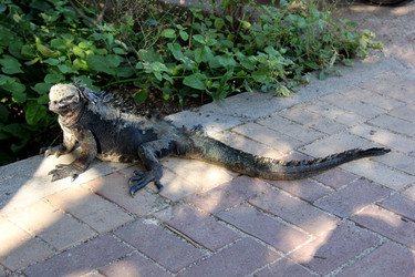 Similar image 21503032