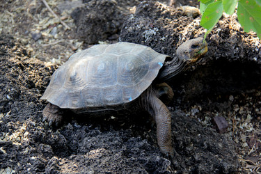 Similar image 21503035