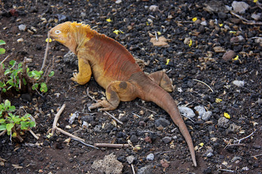 Similar image 21503037