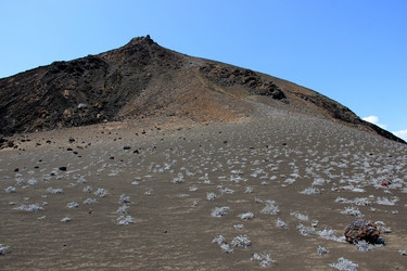 Similar image 21503466