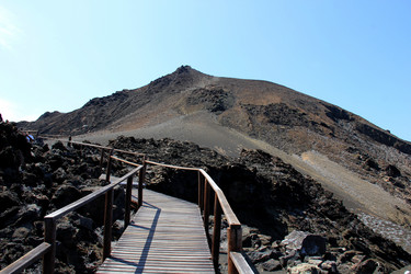 Similar image 21503467