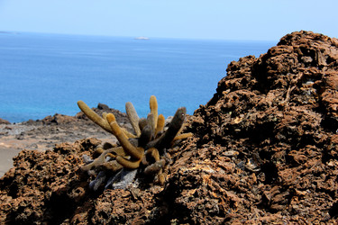 Similar image 21503470