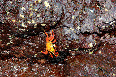 Similar image 21489951