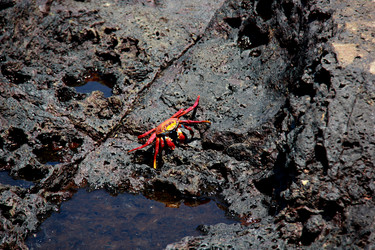 Similar image 21489955