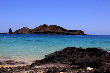 Similar image 21489958