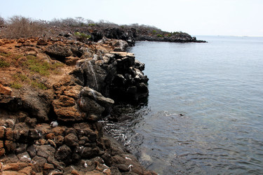 Similar image 21489963