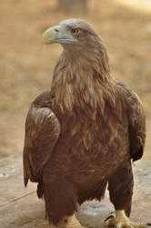 Similar image 21489968