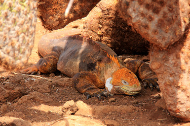 Similar image 21489969