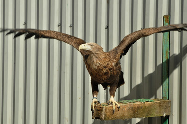 Similar image 21489970