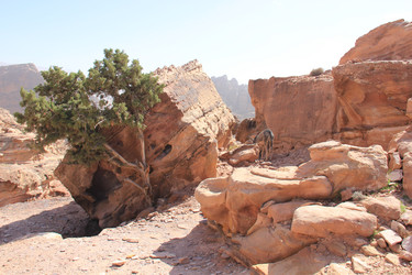 Similar image 21491603