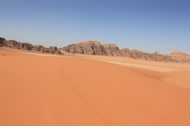 Similar image 21491604