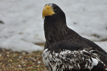 Similar image 21492093