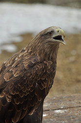 Similar image 21492095