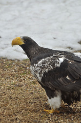 Similar image 21492099