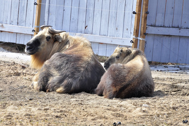 Similar image 21492101