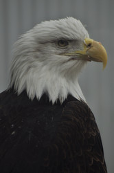 Similar image 21492103