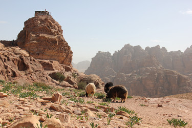 Similar image 21492105