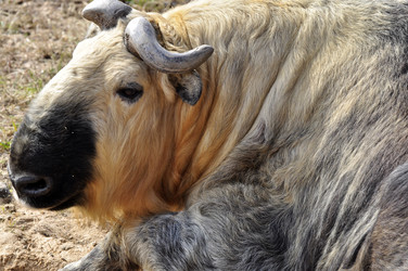 Similar image 21492106