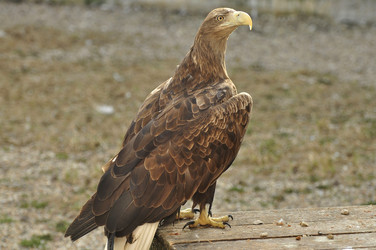 Similar image 21492108