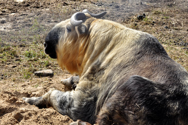 Similar image 21492110