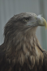 Similar image 21495225