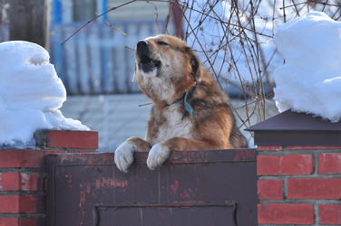 Similar image 21502596