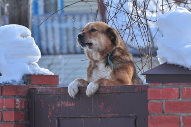 Similar image 21502597