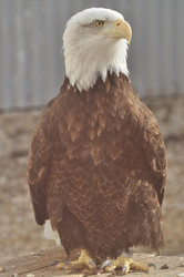 Similar image 21502598