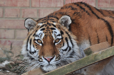 Similar image 21489978