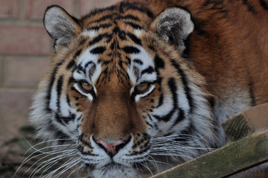 Similar image 21489980