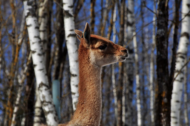 Similar image 21489984