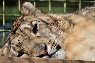 Similar image 21491606