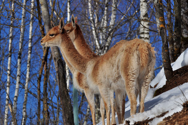 Similar image 21492115