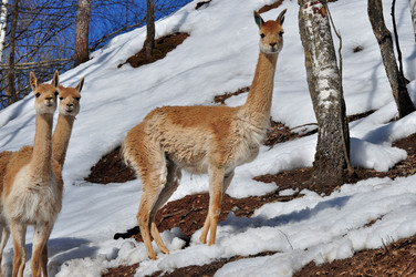 Similar image 21492118