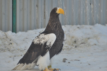 Similar image 21492124