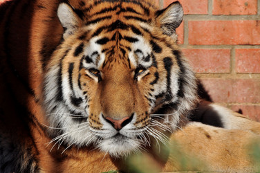 Similar image 21492127