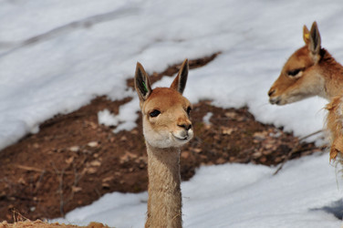 Similar image 21492128